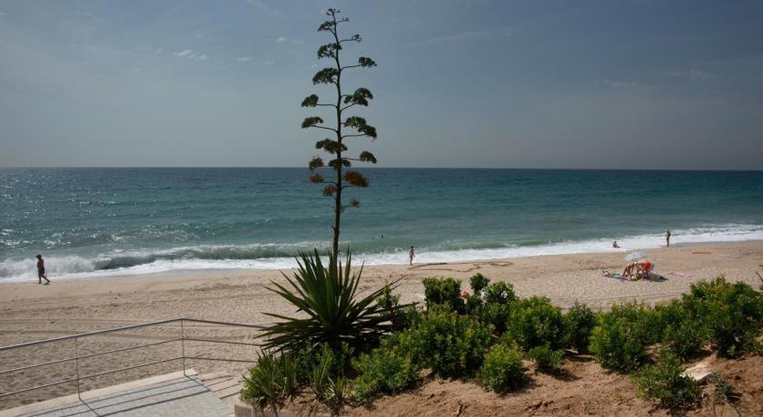 Apart. A-Dorada Miami Playa Apartment Екстериор снимка